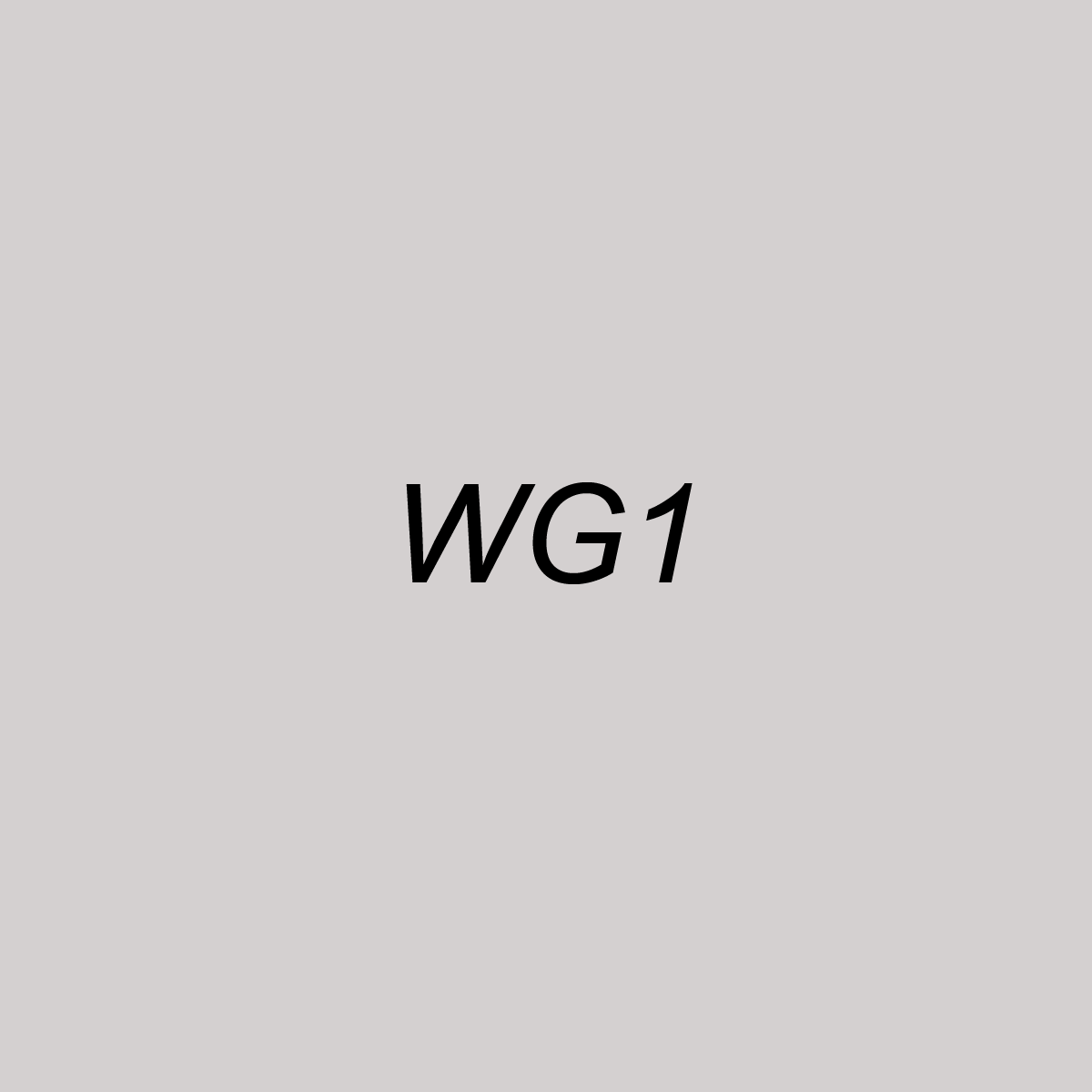 Chisel Ink - WG1 Warm Gray 1