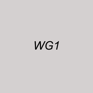 Chisel Ink - WG1 Warm Gray 1