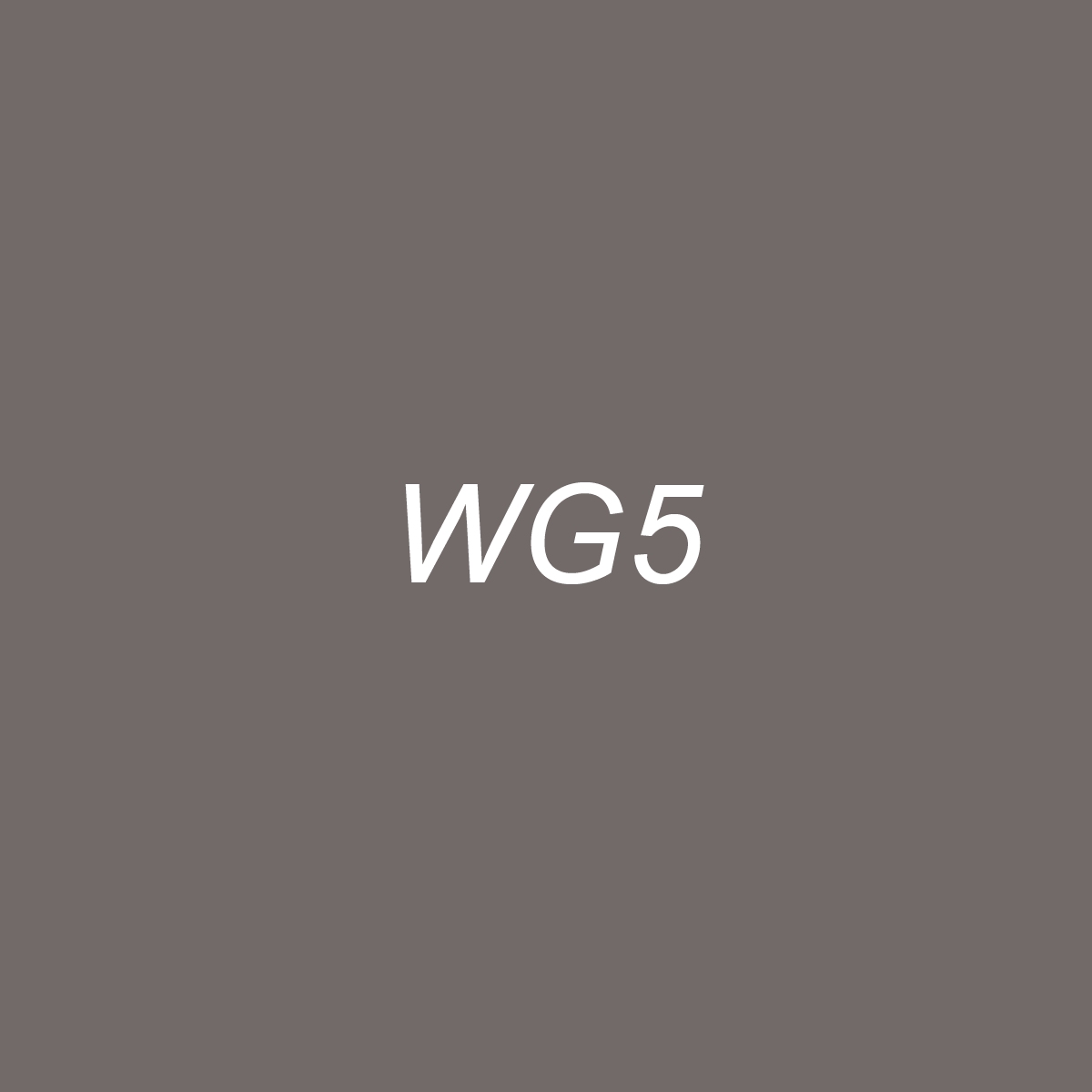 Chisel - WG5 Warm Gray 5